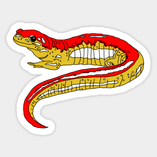 Red and Yellow Salamander Sticker